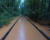 Monitoring the Big Creek Flood