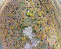 Blood Mountain Foliage Monitoring