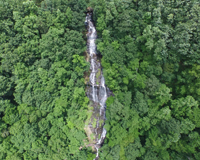 Amicalola Falls